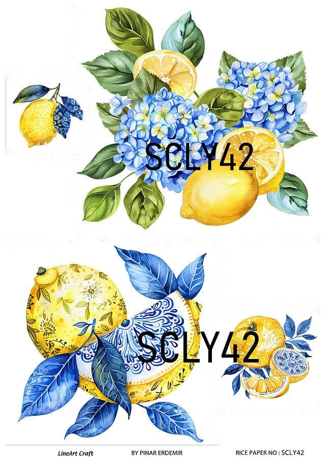 Pirinç Dekopaj SCL 42 limon ortanca