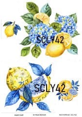 Pirinç Dekopaj SCL 42 limon ortanca