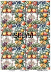 Pirinç Dekopaj SCL 51 limon greyfurt sicilya