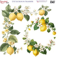 Ütü ile Rubon Baskı Transfer–RB 323