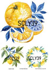 Pirinç Dekopaj SCL 39 Limon desen