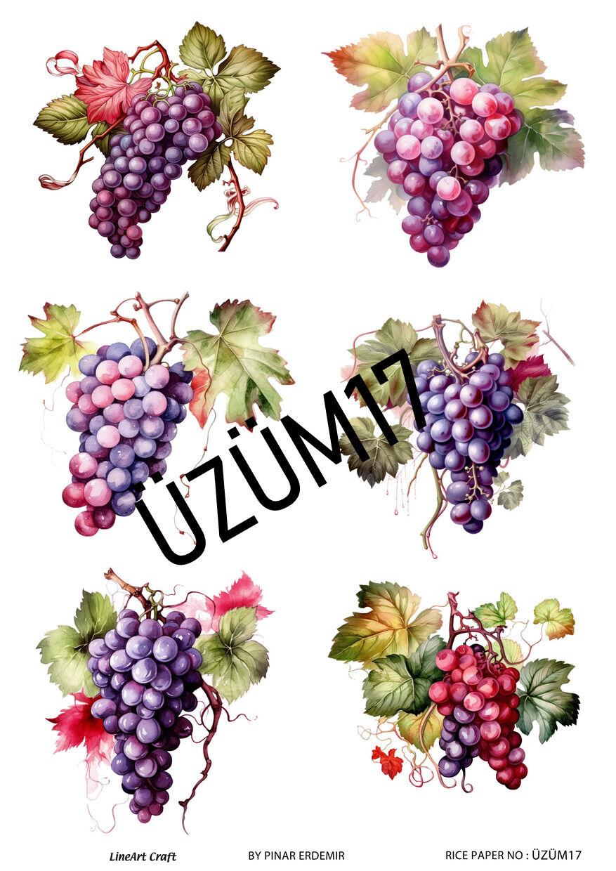 Pirinç Dekopaj Deseni –Lnt Üzüm17 | Dekopaj Kağıdı