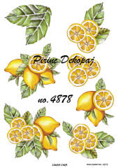 Pirinç Dekopaj Deseni –Lnt 4878 | Dekopaj Kağıdı