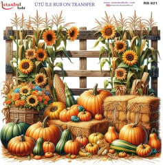 Ütü ile Rubon Baskı Transfer–RB 621 sonbahar-kabak