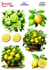 Sulu Transfer IST 422 25x35cm Limon Desen