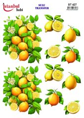 Sulu Transfer IST 427 25x35cm Limon Desen