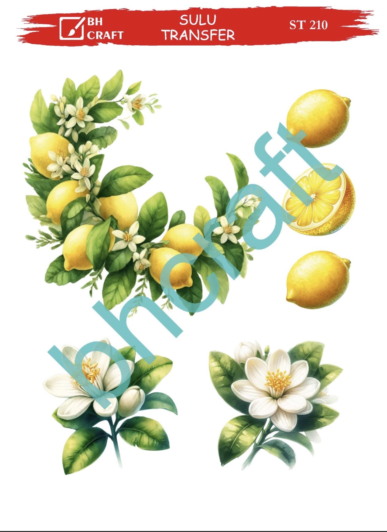Sulu Transfer BH St 210 25x35cm Limon desen