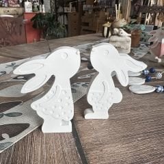 Kız ve erkek tavşan