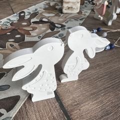 Kız ve erkek tavşan