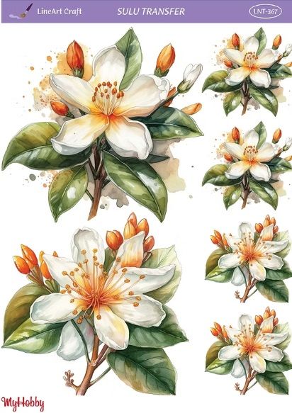 Sulu Transfer LNT 367 25x35cm