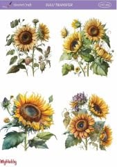 Sulu Transfer LNT 205 25x35cm