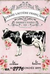 Pirinç Dekopaj  2776