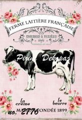 Pirinç Dekopaj  2776