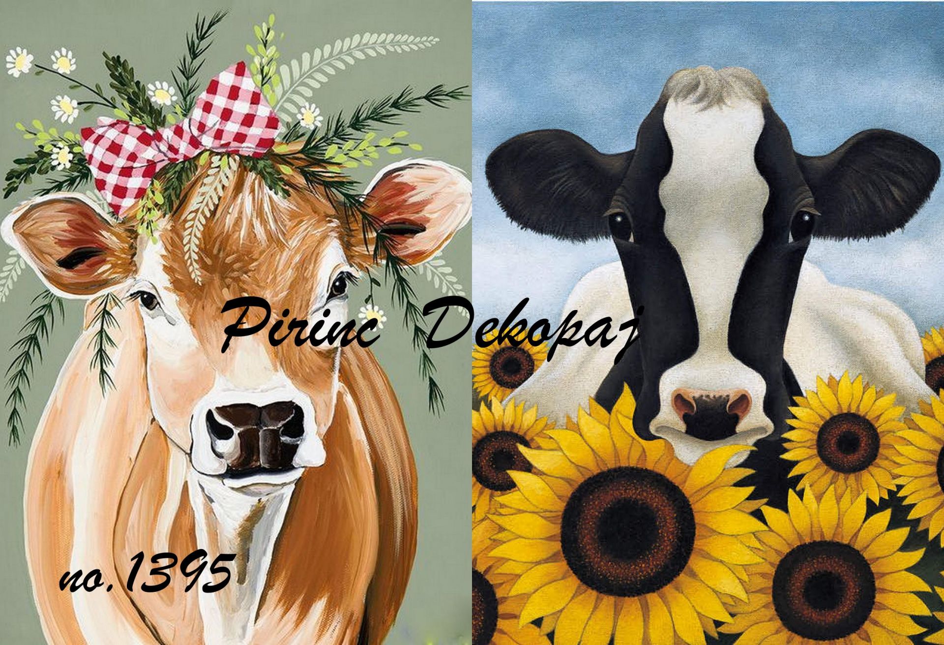 Pirinç Dekopaj  1395